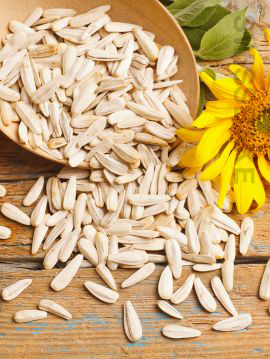 SUNFLOWER SEEDS